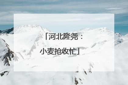 河北隆尧：小麦抢收忙